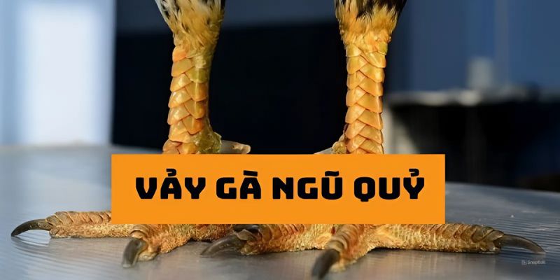 Cá cược bida - Các kèo phổ biến hiện nay