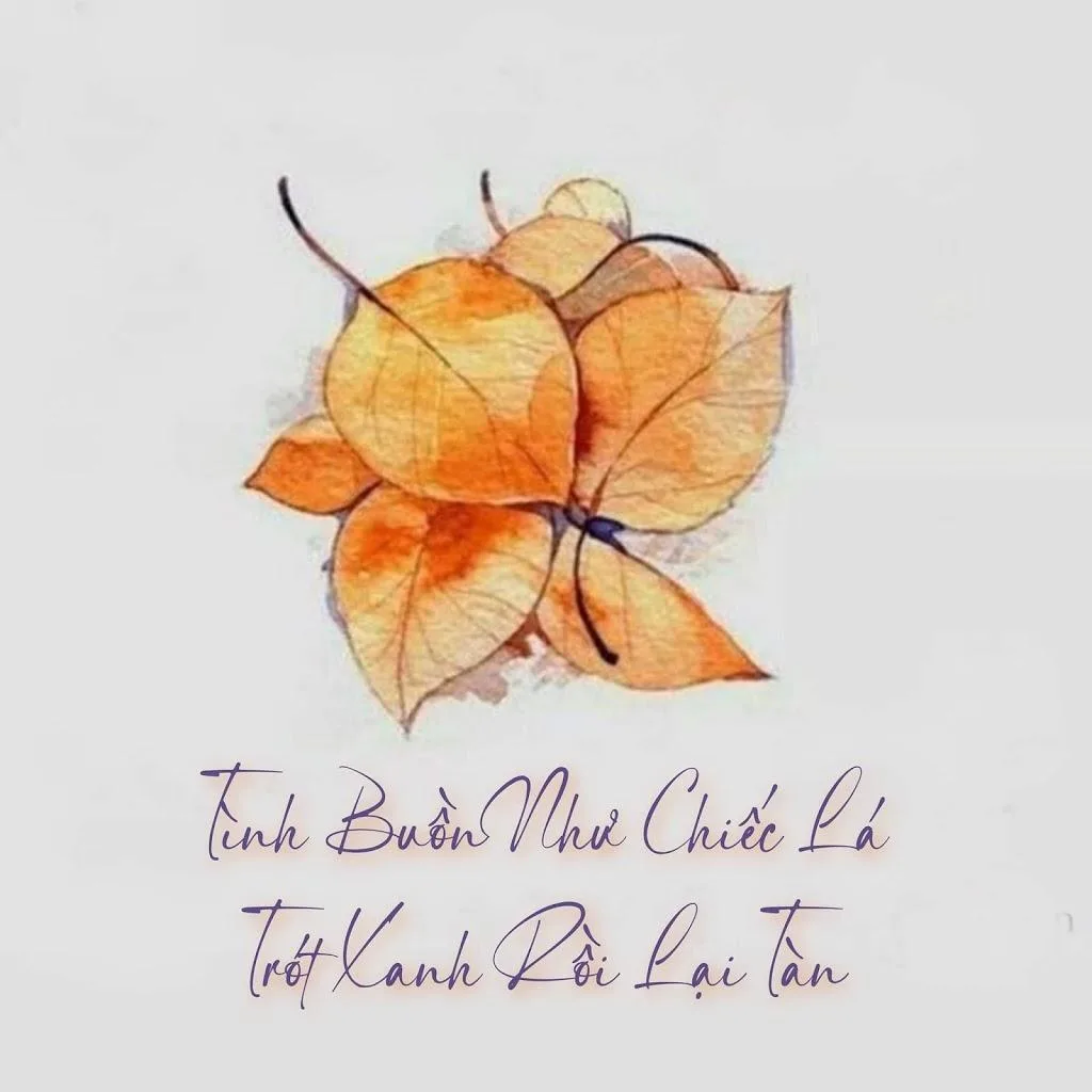 Tải Font SignRathi Việt hóa