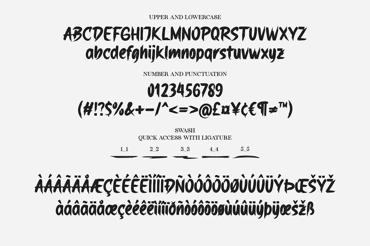 Tải Font Fz Donsky Việt Hóa