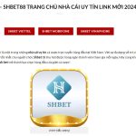 SHBET88 - Nhà Cái Uy Tín Hàng Đầu