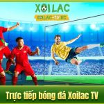 Những thông tin thú vị về kênh trực tiếp bóng đá Xoilac TV