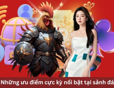 Những ưu điểm cực kỳ nổi bật tại sảnh đá gà VT88