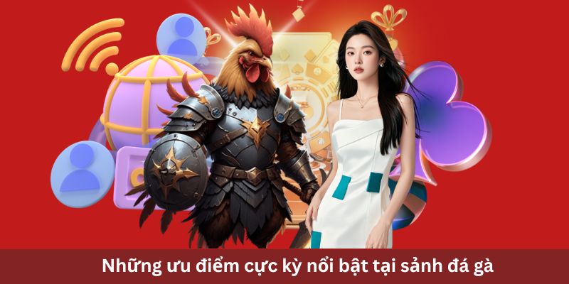 Những ưu điểm cực kỳ nổi bật tại sảnh đá gà VT88